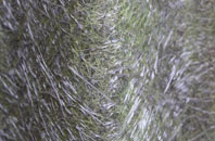 Eastacott fibreglass roof work